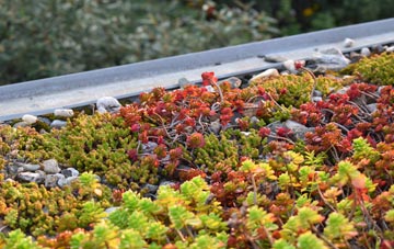 the cost of Whitmoor green roof installation