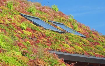 Whitmoor living roof systems